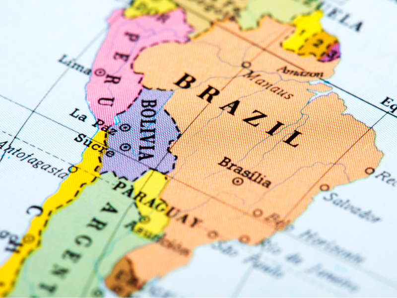 Uma leitura sobre a Biblioteconomia Jurídica no Brasil e em países selecionados